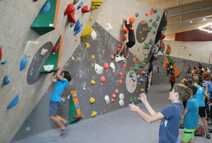 53208683300 acfd16fcc5 k 740x500 - News