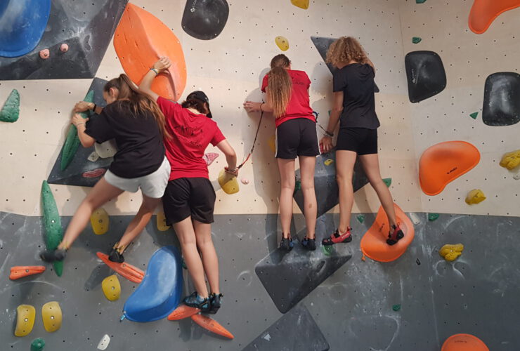 inklusion scaled 740x500 - News