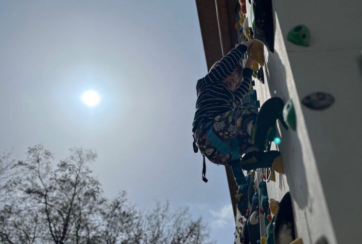 IMG 6715 740x500 - News